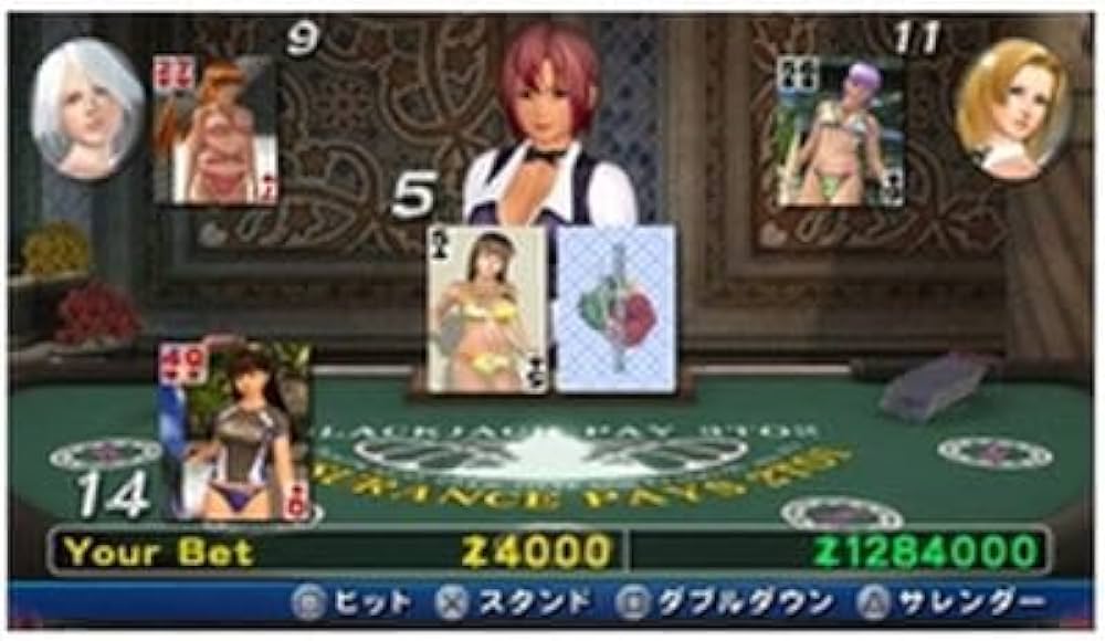 DEAD OR ALIVE Paradise(デッド オア アライブ パラダイス) “かすみ&quot;特製フィギュア&amp;秘密の楽園ボックス(「DOA シークレット写真集」、「こっそ wyw801m 61cxPAiUfdL._UF1000,1000_QL80_.jpg